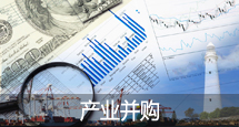 產(chǎn)業(yè)并購